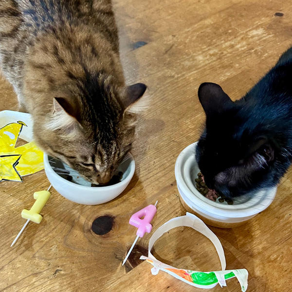 食べ飽きちゃう現象には、悩まされますよね。そんな中、おいしく食べていただけているなんて、うれしい次第です。ありがとうございます。