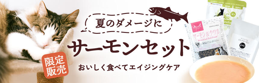 【限定販売】おいしく食べてエイジングケア「サーモンセット」