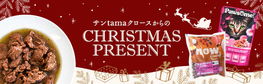 あわてんぼうの「サンtamaクロース」が現れた★今年のクリスマスプレゼント最大《3つ》