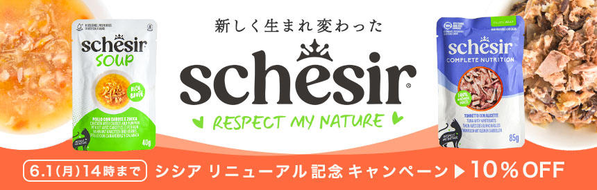 【6/1(月)14時まで】生まれ変わった『schesir(シシア)』リニューアル記念【10％オフ】キャンペーン