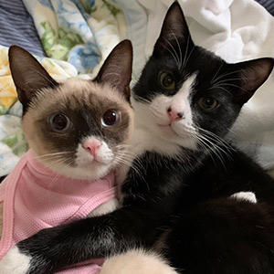 もりもり食べます!:いち様より