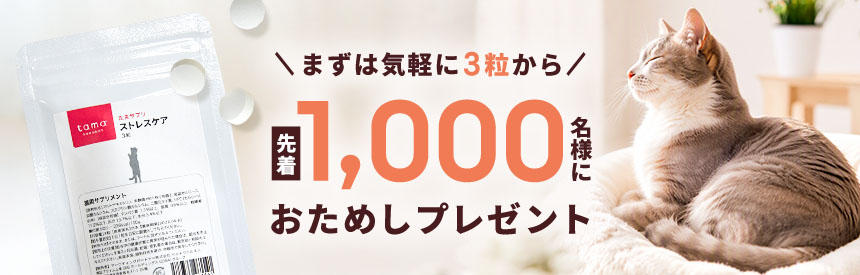 【先着1,000名様】見えないストレスに、毎日1粒の新習慣◎「ストレスケア」お試し《3粒》プレゼント
