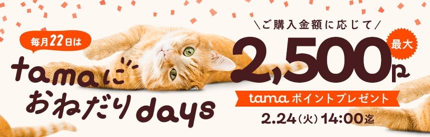 【2/24(火)14時まで】毎月22日は「tamaにおねだり」の日！最大2,500ポイントプレゼント