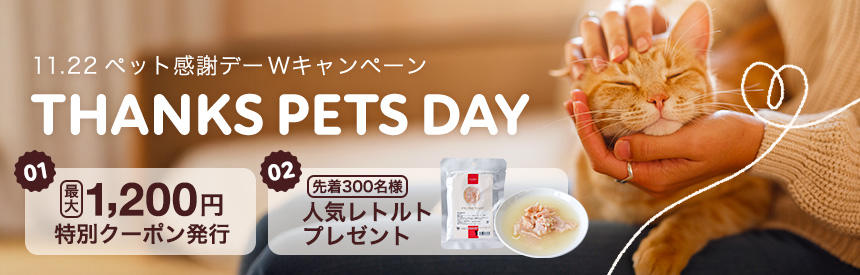 【感謝の気持ちをカタチに】最大1,200円クーポン ＆ レトルトプレゼント