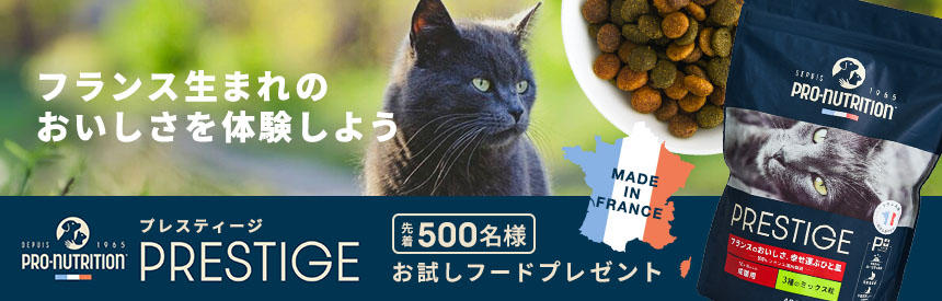 【先着500名様】フランス生まれのおいしさを体験◎「プレスティージ」お試しプレゼント