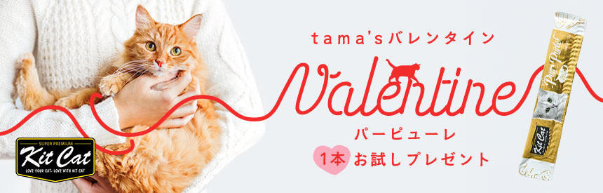 【全員プレゼント◎先着500名様】バレンタインに向けて！tamaからプレゼントをご用意♪