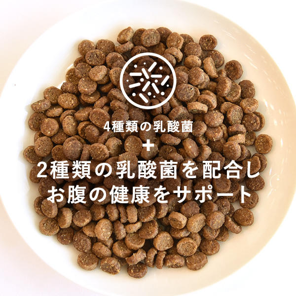 合計6種類の乳酸菌を配合し、お腹の健康をサポート