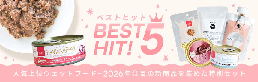 【限定販売】2026年上半期ランキング「ベストヒット5+1セット」