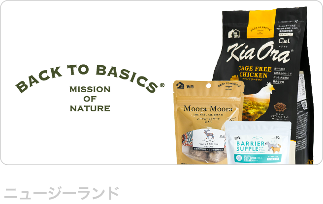 バックトゥベーシックス（Back to Basics）