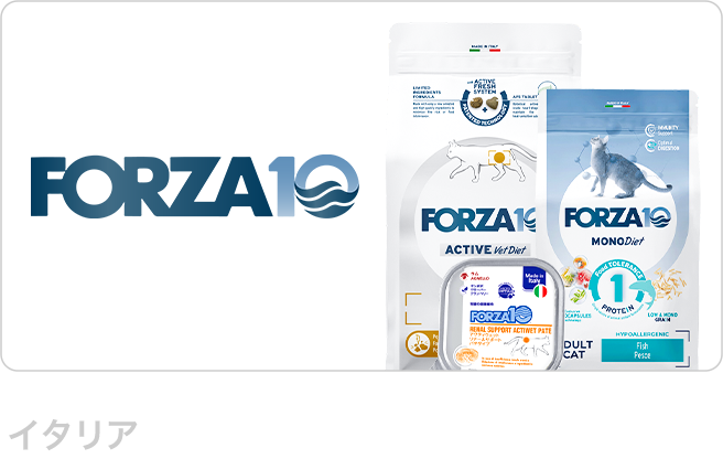 フォルツァ10（Forza10）