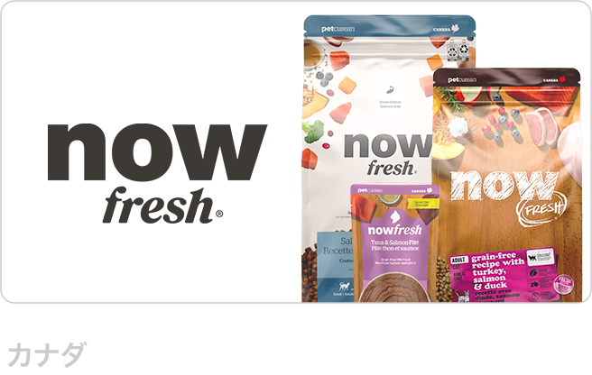 ナウフレッシュ（NOW FRESH）
