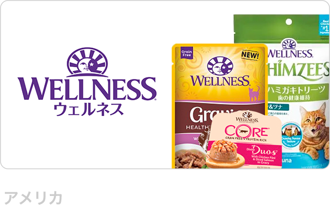 ウェルネス（Wellness）