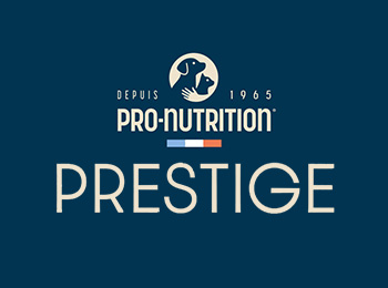 PRESTIGEロゴ