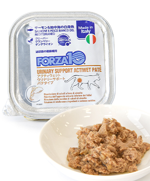 フォルツァ10 CAT アクティウェット ウリナリー 100g