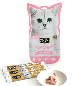 キットキャット パーピューレ ツナ&サーモン 60g（15g×4）