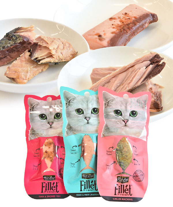 キットキャット【数量限定品】フィレ お魚セット