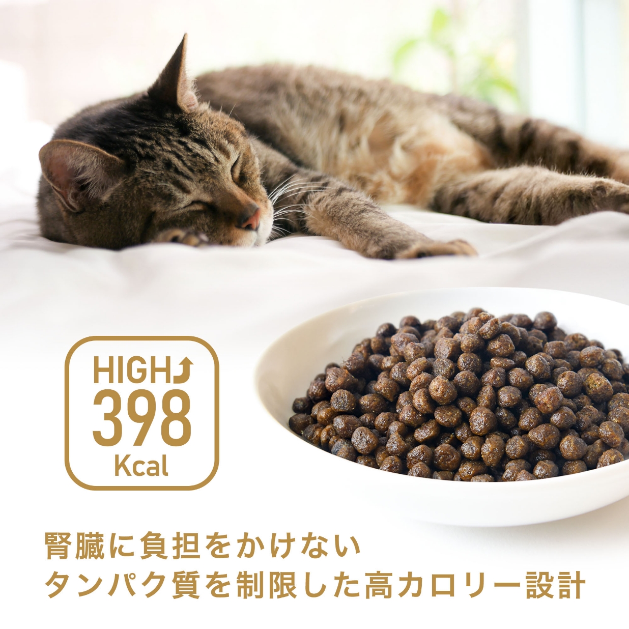 tama 療法食 腎臓ケア フレッシュチキン 100g: ドライフード【公式