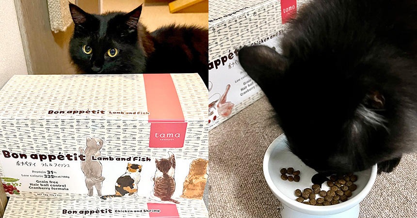 猫の健康に影響を及ぼすミネラルの値にもしっかりこだわった『ボナペティ』です。おいしく食べてくれてありがとう♪