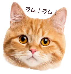 ラム！ラム！