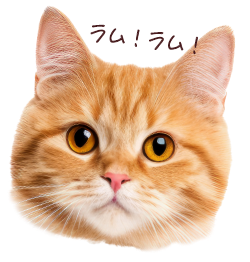 ラム！ラム！