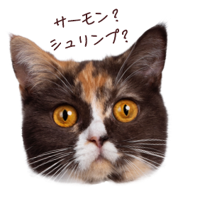 サーモン？シュリンプ？