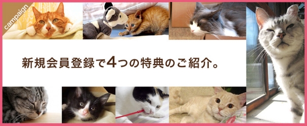化学的な保存料不使用