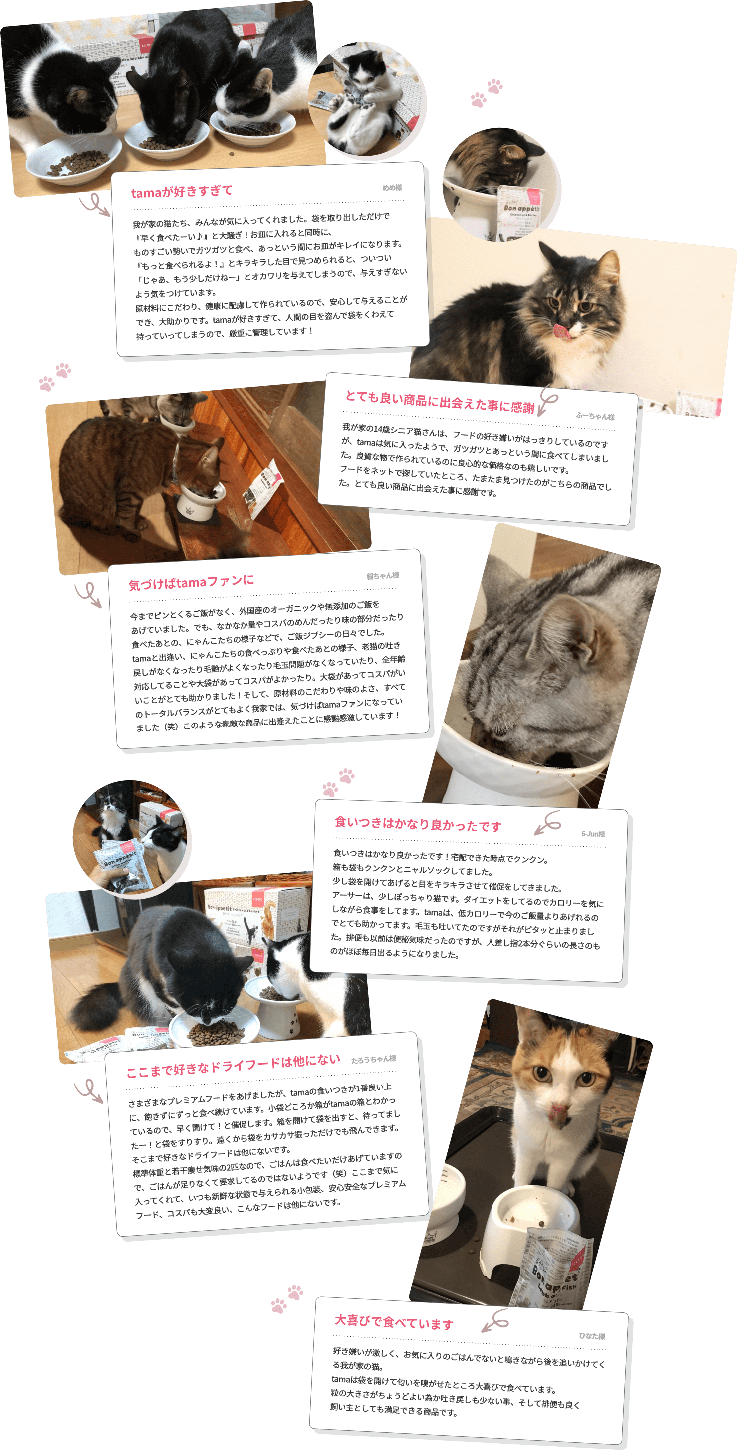 お客様のお便り