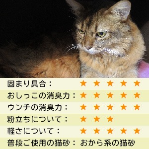 ねこさんにお試しいただきました。