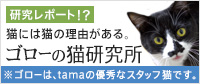 ゴローの猫研究所TOP