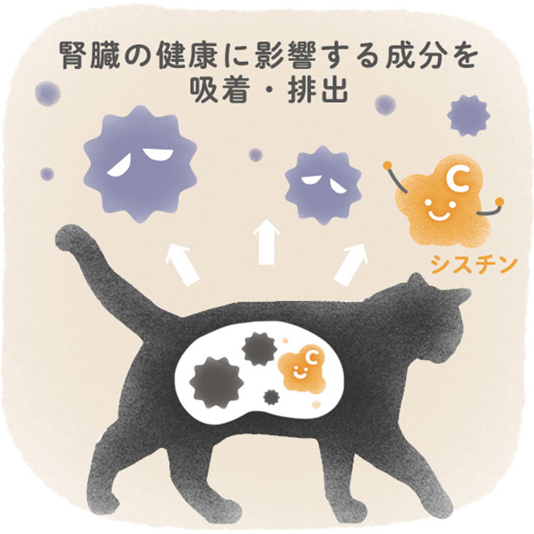吸着や除去、排出