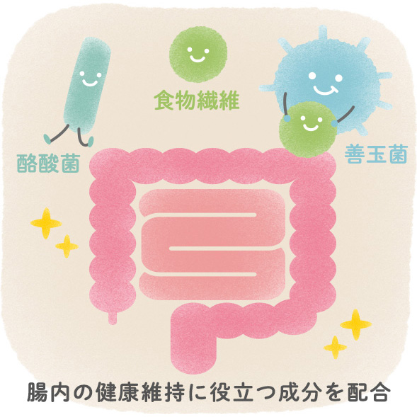 腸腎連関