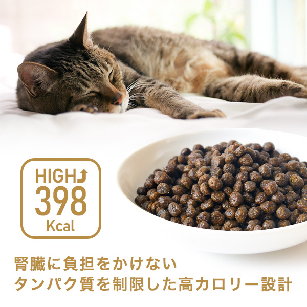 高カロリー