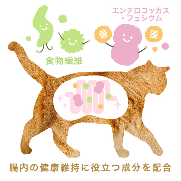 腸腎連関