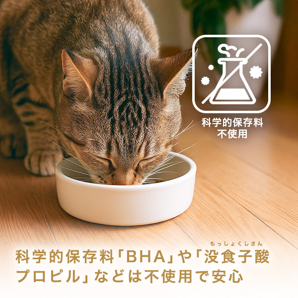 化学的保存料不使用